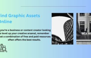 How to Find Graphic Assets Online Graphic Assets