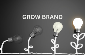 How to Grow Your Brand on Every Platform (A Pro Guide) Brand